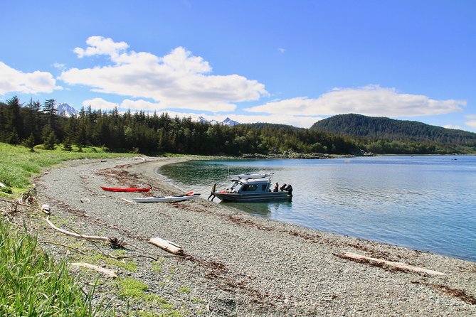 Juneau Shore Excursion: Paddle with Whales Kayak Adventure - Price and Value: What You’re Really Paying For at $494.32