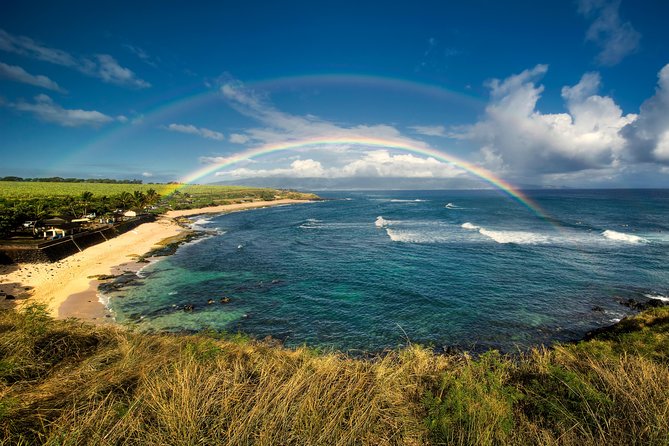 Kahului Shore Excursion: Private Tropics of Maui & Rainforest - Ho‘okipa Beach Park: surfers, ocean views, and turtles sunbathing