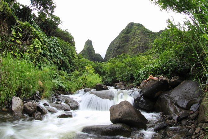 Kahului Shore Excursion: Private Tropics of Maui & Rainforest - Price and value: what $799 buys you in real time
