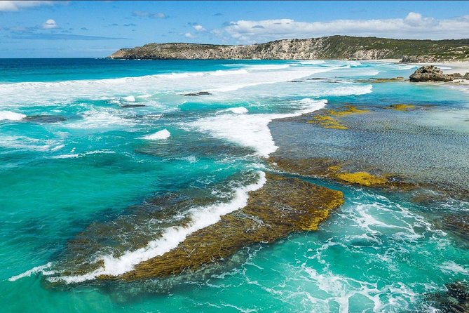 Kangaroo Island Shore Excursion Tasting Tour - For Cruise Ship Passengers Only - Price and value: what you’re really paying for