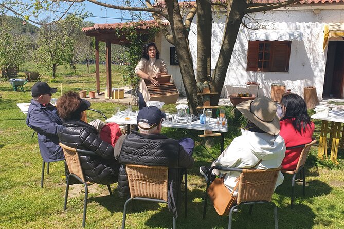Katakolon Small Group Tour: Olympic site, Honey/Olive Oil Tasting - Small group and live commentary: why it feels smoother