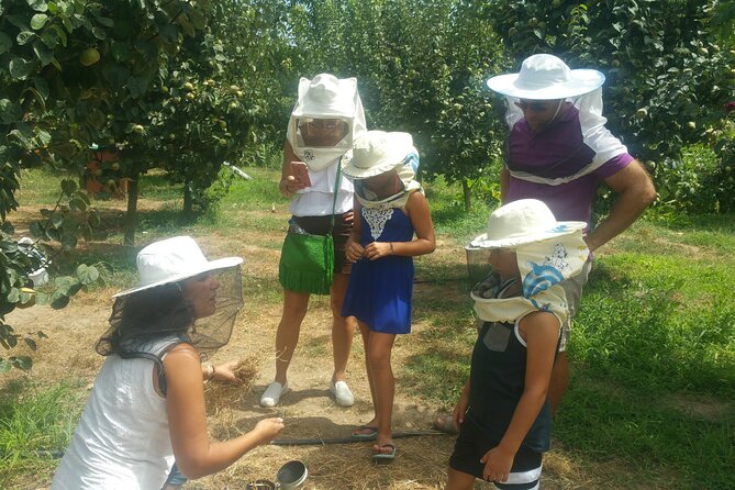 Katakolon Small Group Tour: Olympic site, Honey/Olive Oil Tasting - Price and value: what you’re really paying for