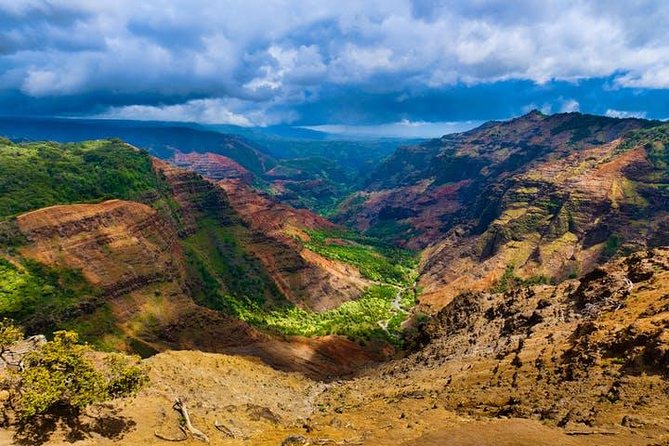 Kauai Cruise Ship Shore Excursion Journey to Waimea Canyon - Getting around: coach comfort, curvy roads, and realistic expectations