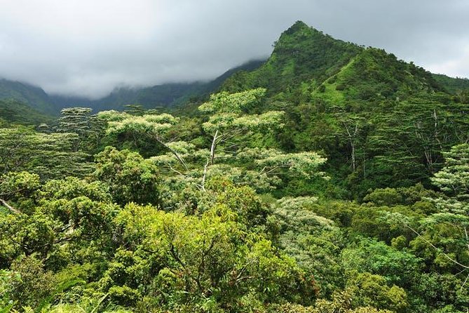 Kauai Cruise Ship Shore Excursion Journey to Waimea Canyon - Should you book this tour or skip it?