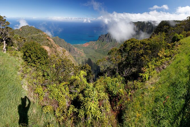 Kauai Shore Excursion - Waimea Canyon Adventure Tour - Nawiliwili - Key highlights at a glance