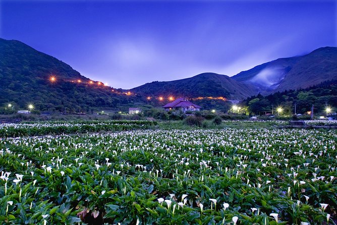 Keelung Shore Excursion: Yangmingshan Hot Spring and Wild Vegetable Cuisine Tour - Price and value: what $280 per person really covers