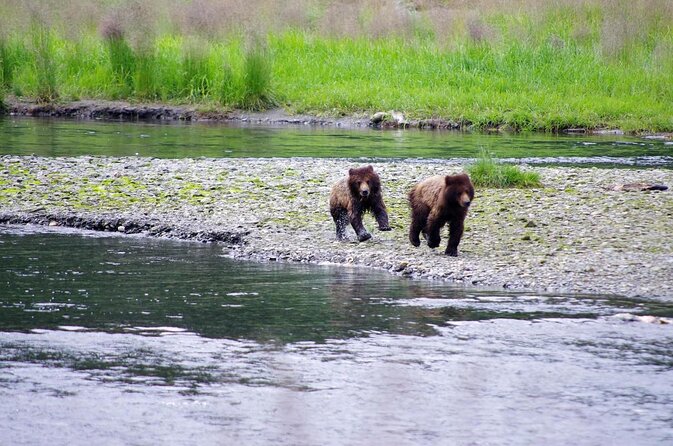 Ketchikan Shore Excursion: Eagle Island Sea Kayaking - Key Highlights at a Glance