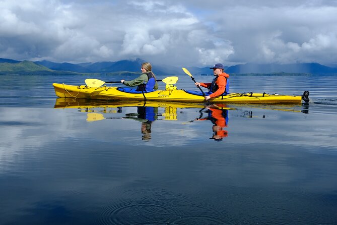 Ketchikan Shore Excursion: Eagle Island Sea Kayaking - Wildlife checklist: seals, eagles, salmon, and starfish moments