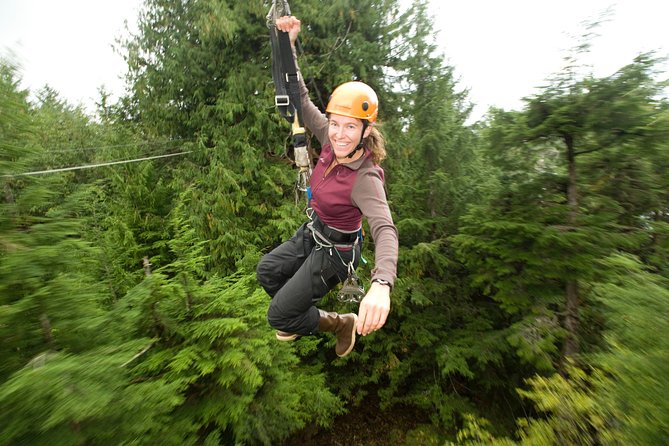 Ketchikan Shore Excursion: Rainforest Canopy Ropes and Zipline Adventure Park - Bird’s-Eye Views of Ketchikan: Photos, Water, and Sea Life Chances