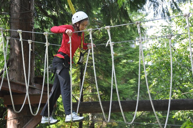 Ketchikan Shore Excursion: Rainforest Canopy Ropes and Zipline Adventure Park - The Course Layout: Ziplines, Rope Bridges, and Swing-Step Obstacles