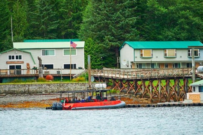 Ketchikan Shore Excursion: Silverking Lodge Adventure & Seafeast - Key highlights that make this shore excursion worth your time