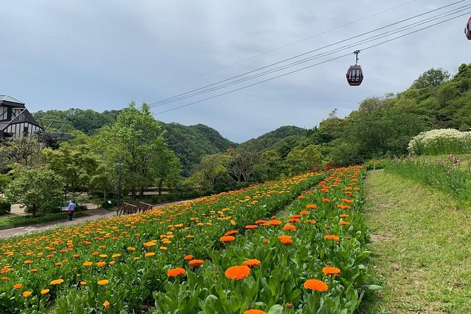 Kobe private tour from Osaka (Shore excursion available from Osaka or Kobe port) - Guides who keep the day on track: Ichihiro, Kaori, and Akie