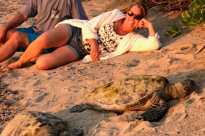 Kona Shore Excursion: Sea Turtles, Historic Kona & Coffee - Poke Lunch Breaks: Your One Real Food Decision