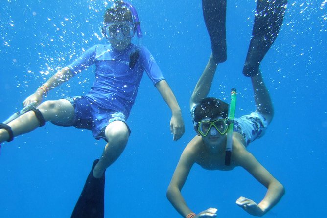 Kona Shore Excursion: Wild Dolphin Reefs Snorkel and Sea Caves - Why the small-group Zodiac format often beats big-boat tours