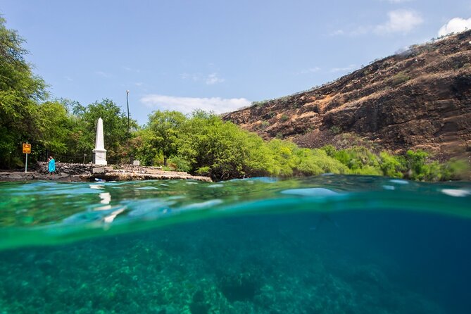 Kona Shore Excursion: Wild Dolphin Reefs Snorkel and Sea Caves - Price and value: is $149 fair for a Kona shore excursion?