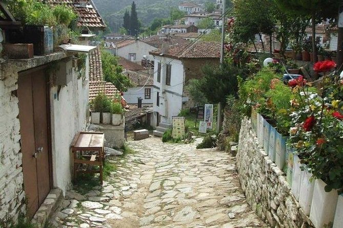 Kusadasi Shore Excursion: Private Full-Day Tour to Ephesus, Didyma and Miletus - Lunch break reality: what to expect and how to use the time