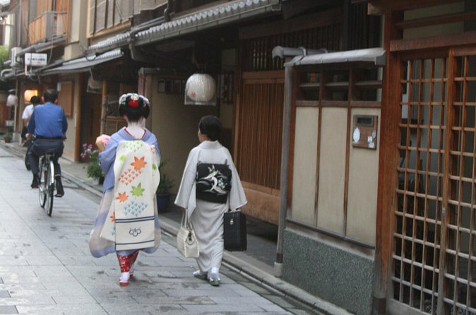 Kyoto private tour (Shore excursion available from Osaka or Kobe port) - Transportation: public trains vs taxis vs private van (and why it affects your mood)