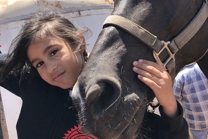 La Bufadora, Markets & Horseback Beach Ride Shore Excursion - Optional drop-offs that make Ensenada feel bigger