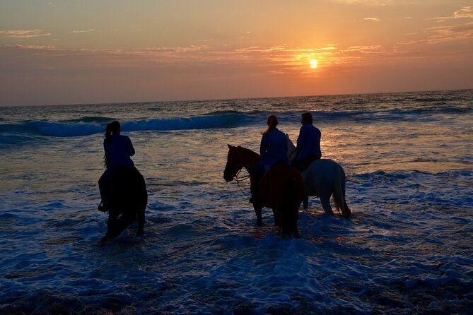 La Bufadora, Markets & Horseback Beach Ride Shore Excursion - Price and value: what $71 buys in real time