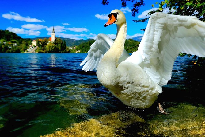 Lake Bled & Ljubljana - Shore Excursion from Trieste - Food, Drinks, and How to Plan for a Real Day Trip