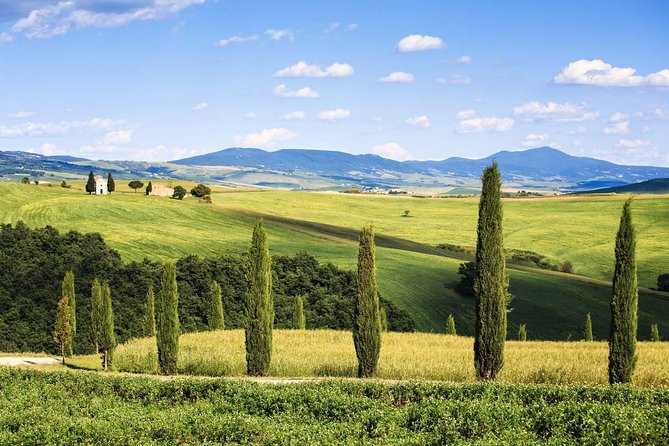 Livorno shore excursion: Bolgheri and Supertuscan private tour - Key Highlights at a Glance