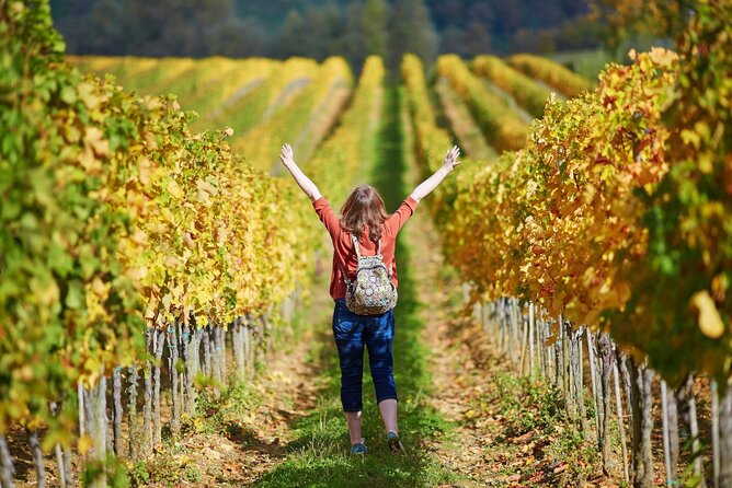 Livorno Shore Excursion: Pisa, Florence and Chianti Wine Private Day Trip - Chianti Wine at the Winery: What Is Included, What Costs Extra