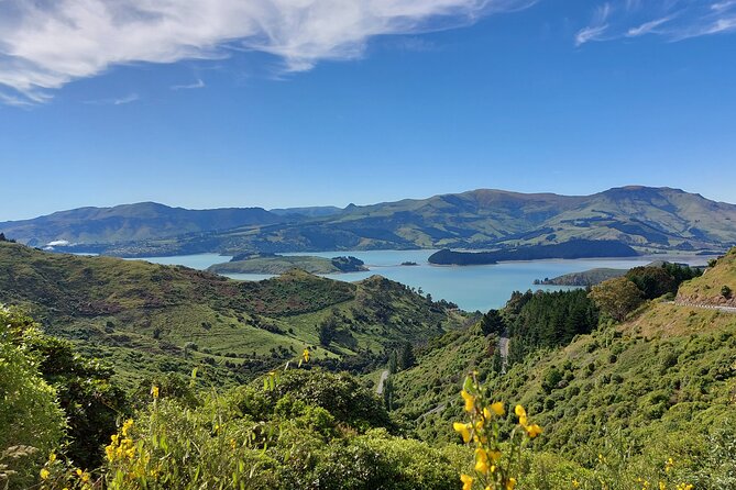 Lyttelton Shore Excursion: Christchurch & Willowbank Tour - Christchurch in one day, with real context