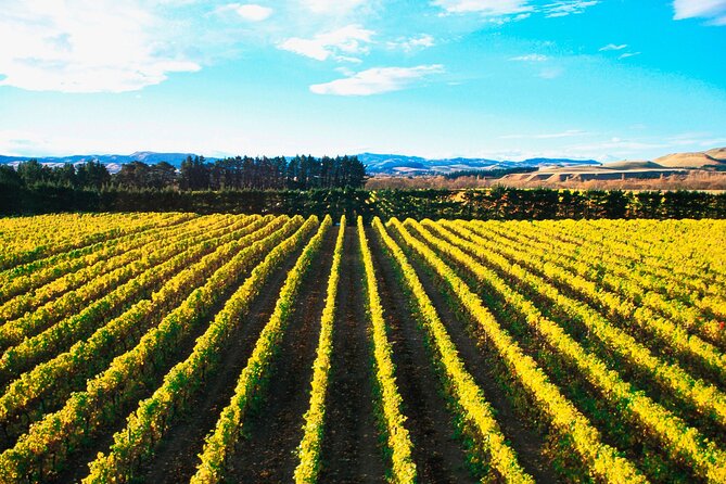 Lyttelton Shore Excursion - City Highlights & Waipara Wine Tour - The Christchurch and Waipara Combo That Actually Works on a Cruise Day