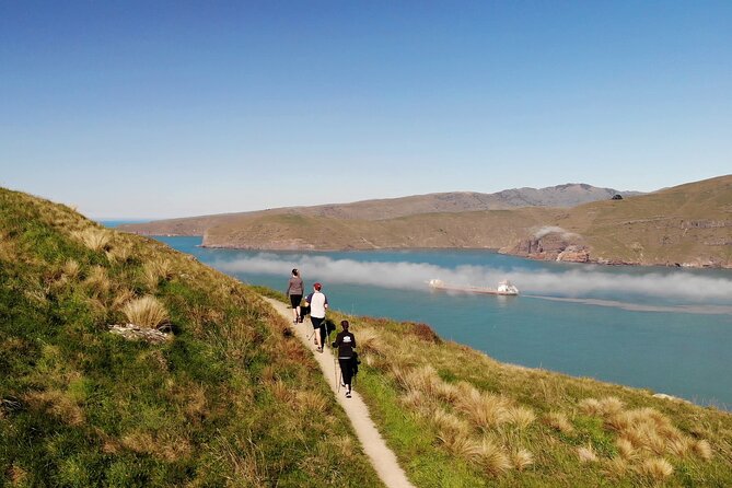 Lyttelton Shore Excursion - Guided Walking Tour and Picnic - Key things to know before you go