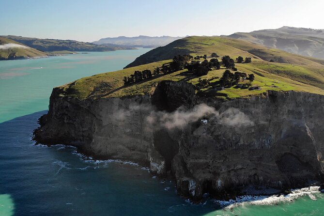 Lyttelton Shore Excursion - Guided Walking Tour and Picnic - Why the Lyttelton–Godley Head combo feels so worth your time