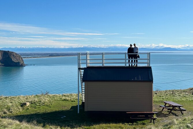 Lyttelton Shore Excursion - Guided Walking Tour and Picnic - Godley Head Loop Track: the main event for views and WWII landmarks