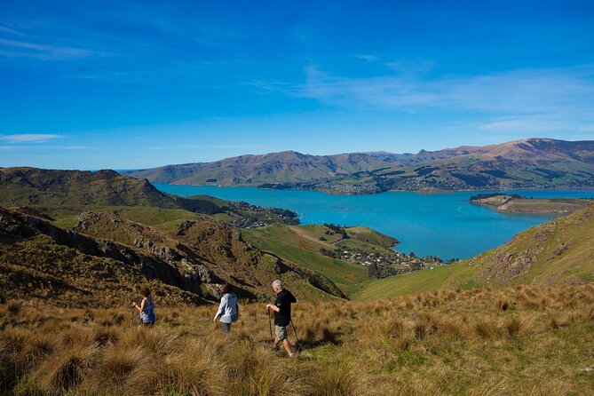 Lyttelton Shore Excursion - Guided Walking Tour and Picnic - Getting dropped back in Lyttelton (and maybe central Christchurch)