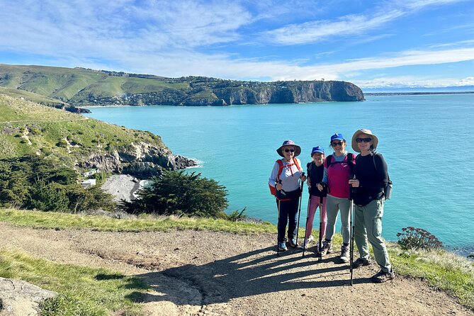 Lyttelton Shore Excursion - Guided Walking Tour and Picnic - Pace, poles, and fitness: how hard is Godley Head really?