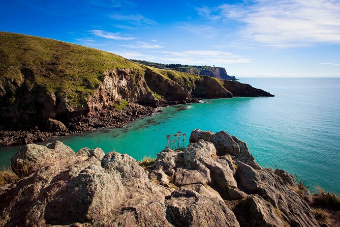 Lyttelton Shore Excursion - Guided Walking Tour and Picnic - Small-group guiding: how it changes the day