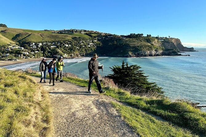 Lyttelton Shore Excursion - Guided Walking Tour and Picnic - Taylors Mistake: black sand, baches, and a quick reset