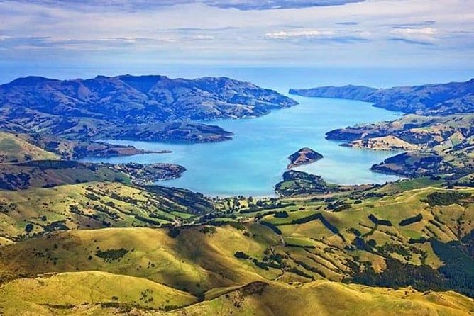 Lyttelton Shore Excursion: Twin Harbour Tour (Lyttelton & Akaroa) - Key things to know before you go