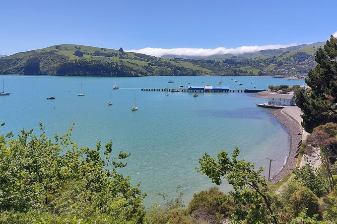 Lyttelton Shore Excursion: Twin Harbour Tour (Lyttelton & Akaroa) - Akaroa and the twin harbors: the photo stops that justify the drive