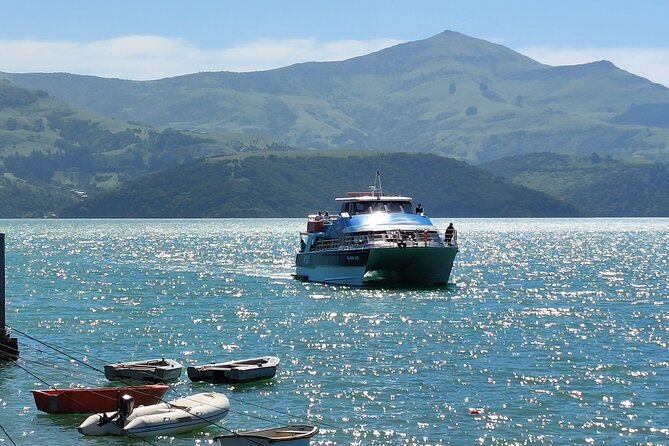 Lyttelton Shore Excursion: Twin Harbour Tour (Lyttelton & Akaroa) - Lunch and included extras: what you actually get for your money