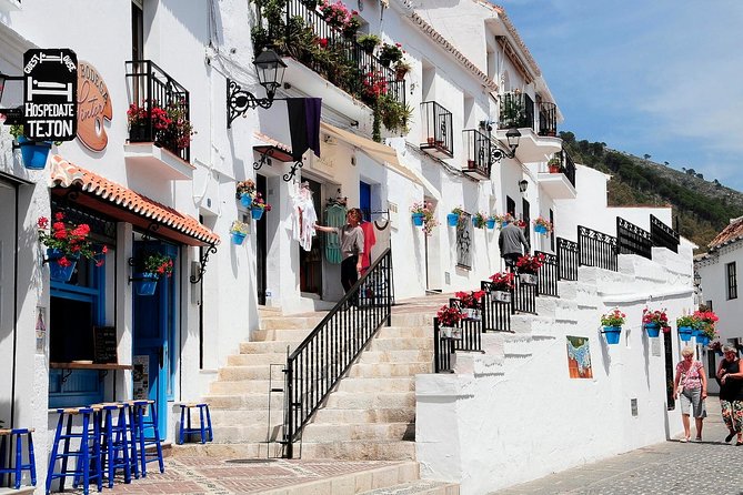 Malaga private Shore Excursion: Malaga Highlights & Mijas White Washed Village - Key highlights to look for