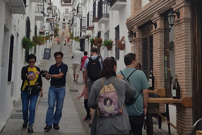 Malaga private Shore Excursion: Malaga Highlights & Mijas White Washed Village - Mijas Pueblo: white streets, sea views, and time to wander
