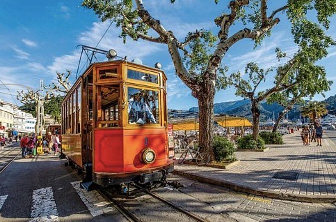 Mallorca Shore Excursion: Exclusive Soller and Valldemosa - Should you book this Mallorca shore excursion?