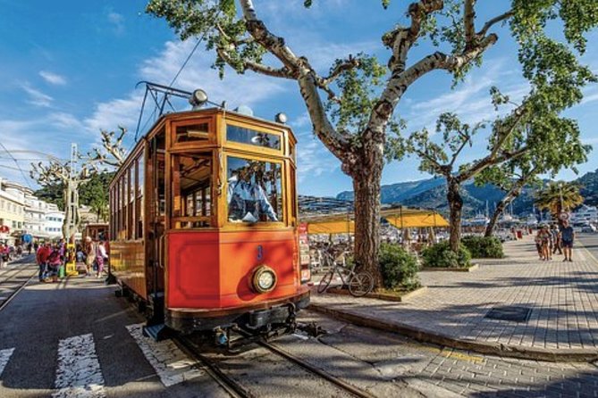 Mallorca Shore Excursion: Exclusive Soller and Valldemosa - Scenic coastal roads toward Sa Foradada, Son Marroig, and beyond
