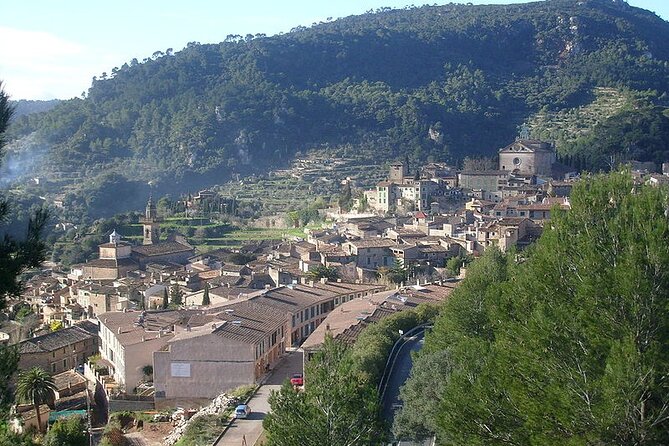 Mallorca Shore Excursion Highlights Private Tour including Valldemossa - Cathedral of Mallorca Visit: Skip-the-Line Time for the Main Event