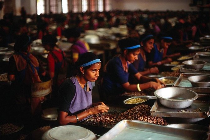 Mangaluru Shore Excursion - Full Day Private Mangaluru Guided City Tour - Central Market: shop like a local at Mangalore’s main vegetable hub