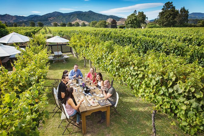 Marlborough Wine Tour - Picton Cruise Ship Shore Excursion Tour - Comfort, Van Time, and the One Thing to Watch