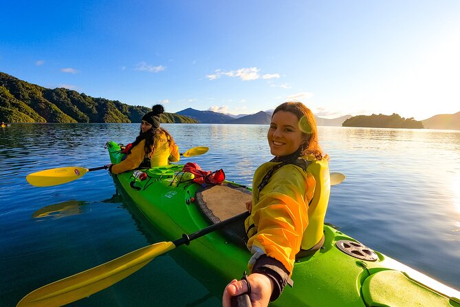 Marlborough Wine Tour - Picton Cruise Ship Shore Excursion Tour - Price and Value: Is $176.86 a Fair Deal?