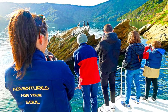 Marlborough Wine Tour - Picton Cruise Ship Shore Excursion Tour - Tips to Make Your Day Smoother