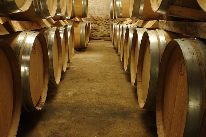 Marseille Shore Excursion - Full Day Wine Tour in Provence - From the Marseille Cruise Pier to Provence Wineries: How the Day Flows