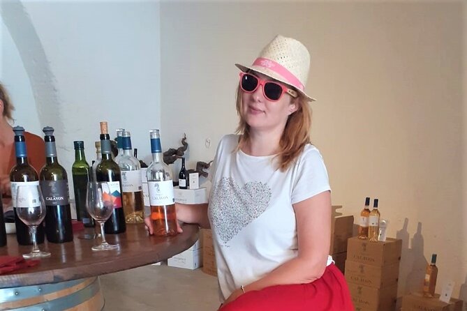 Marseille Shore Excursion - Full Day Wine Tour in Provence - Transportation, Comfort, and the Max-8 Advantage (No Big-Bus Chaos)