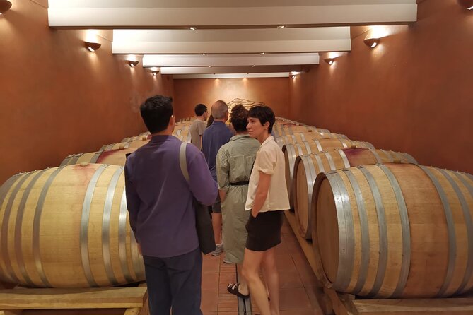 Marseille Shore Excursion - Full Day Wine Tour in Provence - Price and Value: What $203.04 Covers on a 6–7 Hour Provençal Day